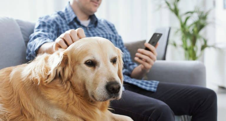 New Platform Benefits Animal Health Companies and Rescues