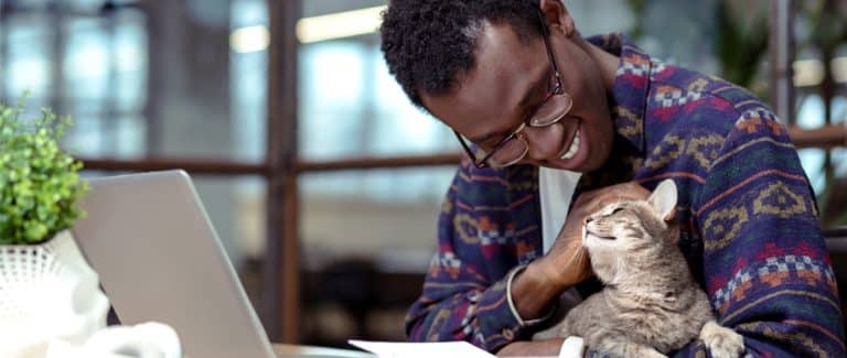 Four Steps to Create a User-First Digital Experience for Your Veterinary Clients