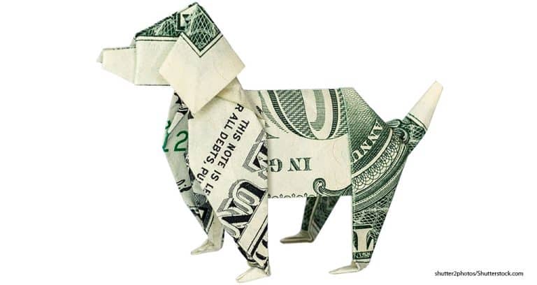 U.S. Pet Spending Jumped 10.8% in 2022