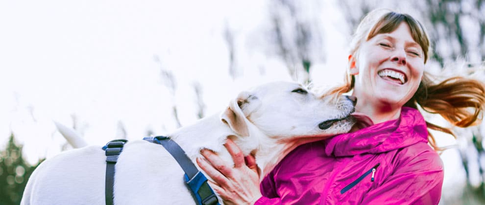Order Consolidation: Driving Improved Hospital Workflows and Sustainability for Veterinary Practices - Featured Image