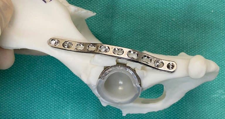 3D Printing Used in Dog’s Double Hip Replacement