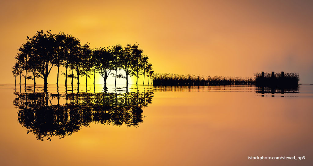 A Profile of Flow - Featured Image