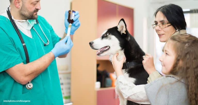 Pearls From a Technical Services Vet