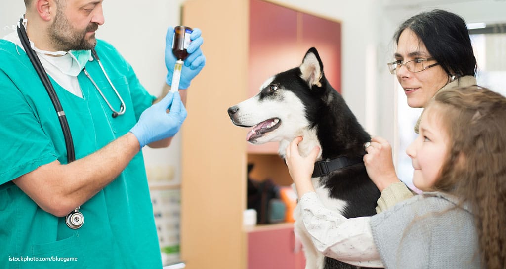 Pearls From a Technical Services Vet - Featured Image