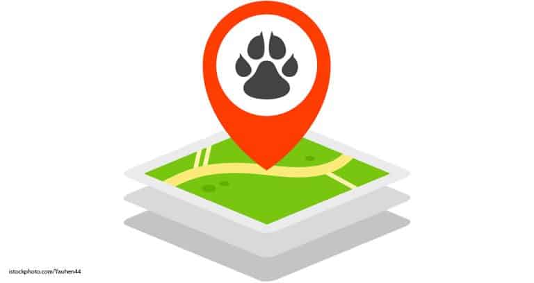 Navigating the New Pet Care Landscape