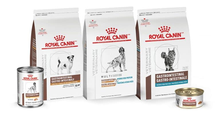 Royal Canin Offers More GI Diets