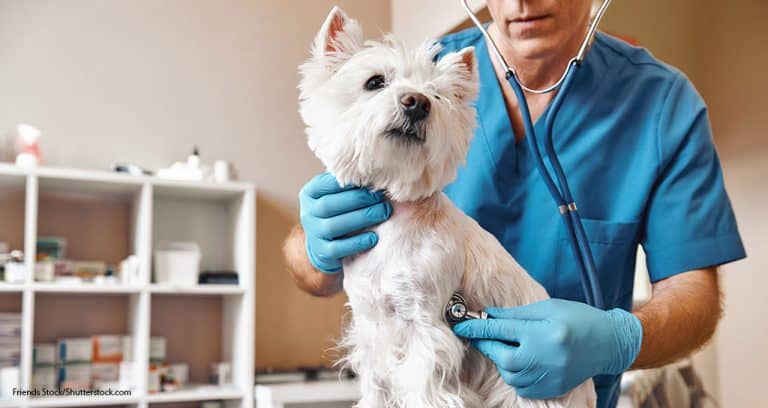 Preventive Care Is a Blueprint for Practice Success