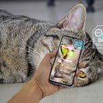 veterinary practice