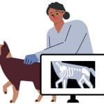 veterinary technicians