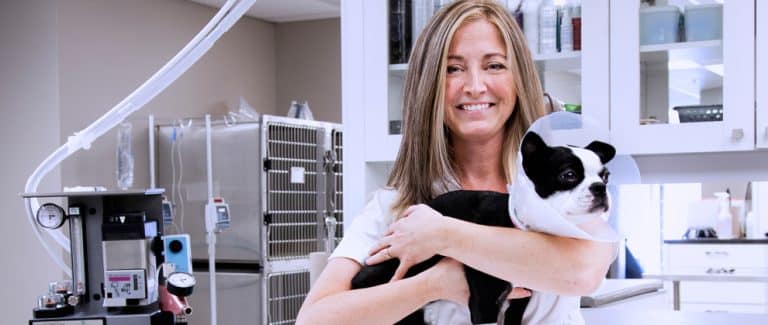 Seamless Veterinary Care Starts With Healthy Equipment