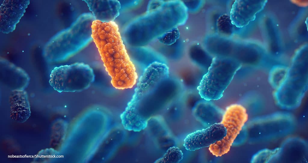 AVMA Updates Policy on Antimicrobial Use - Featured Image