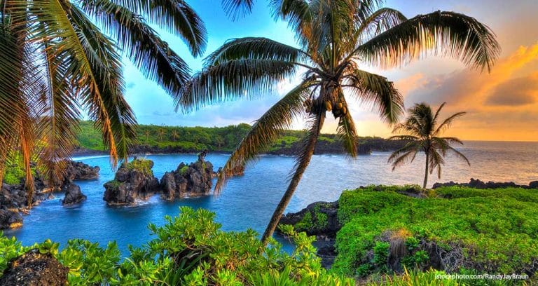 The Aloha Dream