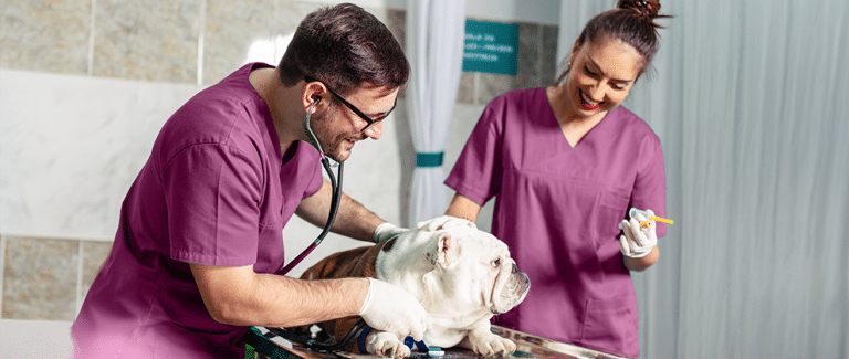 Strengthen Your Independence, Grow Your Veterinary Business, and Find Your Community