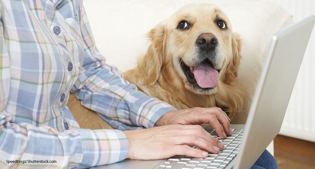 Report: Social Media Influences Pet Care Decisions - Featured Image