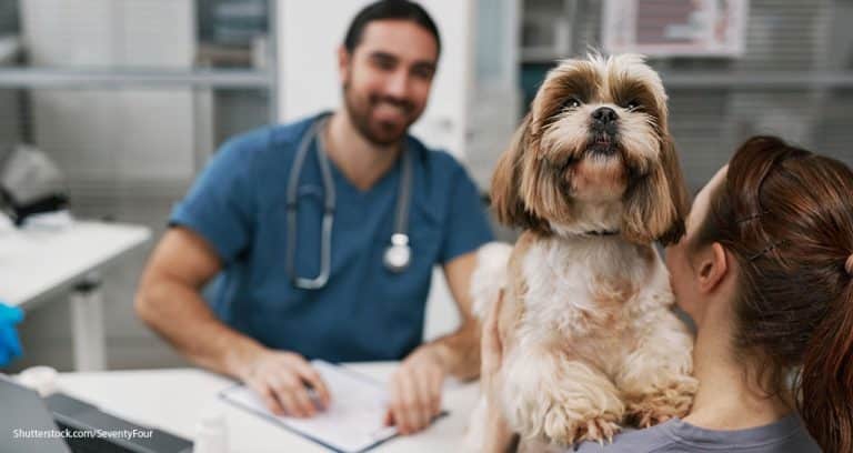 AAHA to Introduce Community Care Guidelines