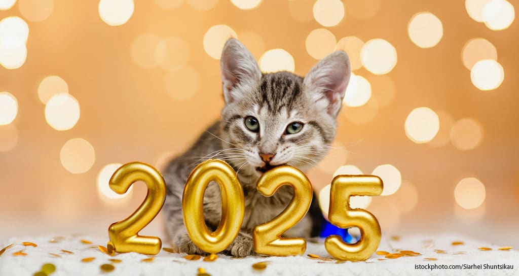 Veterinary Practice Regulations: What’s Changing in 2025 - Featured Image