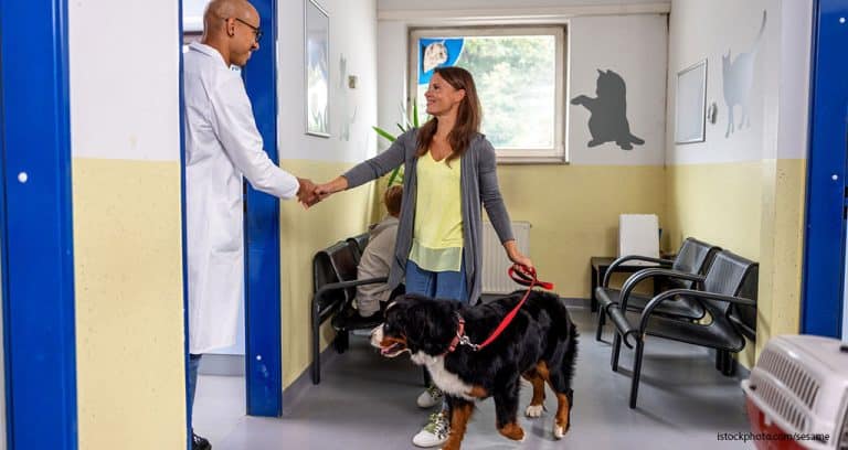 6 Ways to Involve Pet Owners During Veterinary Visits