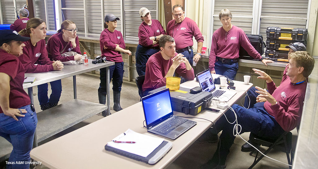 Texas A&M VET: A Case Study on Fostering Innovation - Featured Image