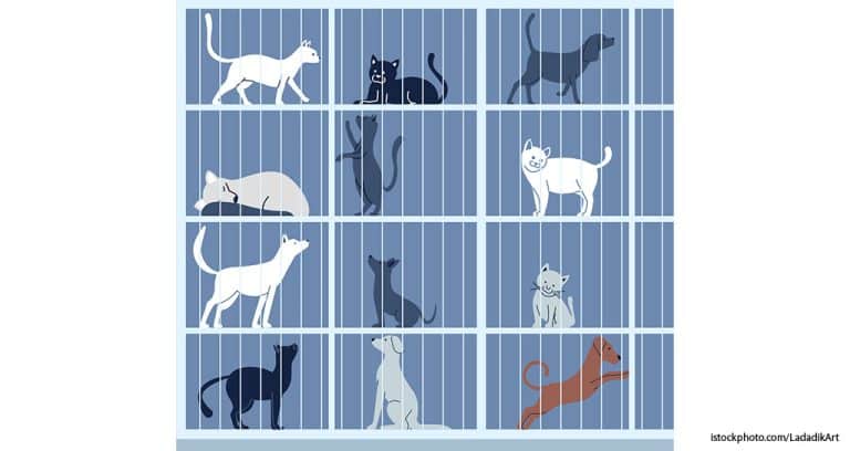 The Disruptive Dozen: 12 Changes in the Veterinary Industry