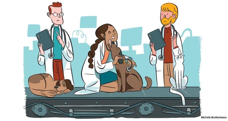How Veterinarians Can Balance Profit and Essential Patient Care