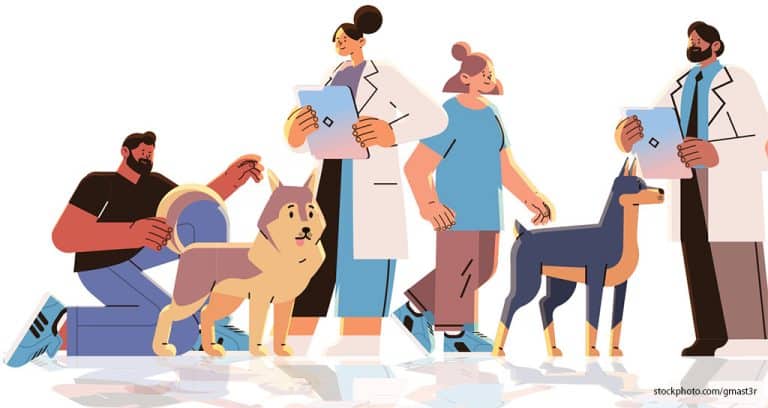 How to Build Strong Veterinarian–Client Relationships