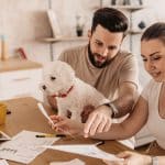 pet insurance