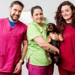 veterinary assistants