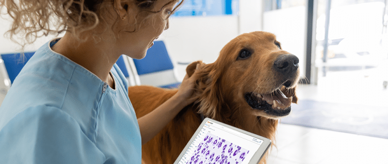 AI in Veterinary Practice: Accelerating Care Through Innovation