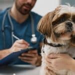 veterinary referral