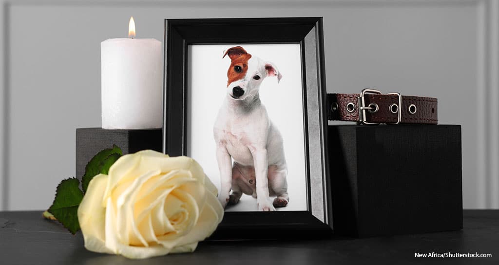 Replacing a Deceased Pet Helps Emotionally - Featured Image
