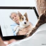 veterinary telemedicine