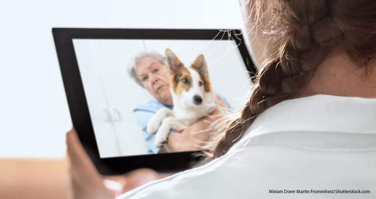 Report: Veterinary Telehealth’s Future Is Bright
