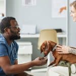 veterinary data