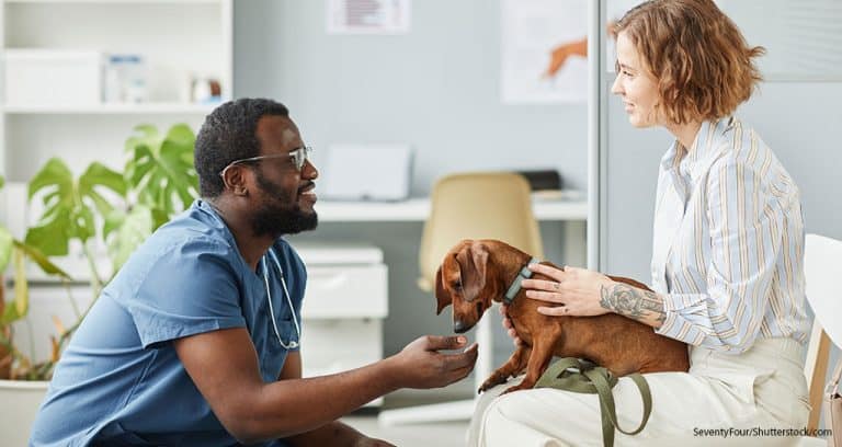 Transparency Strengthens the Veterinary Profession