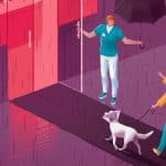 pet insurance