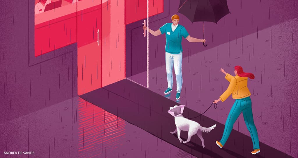 Reassessing How Pet Insurance Works (And How It Can Be Improved) - Featured Image