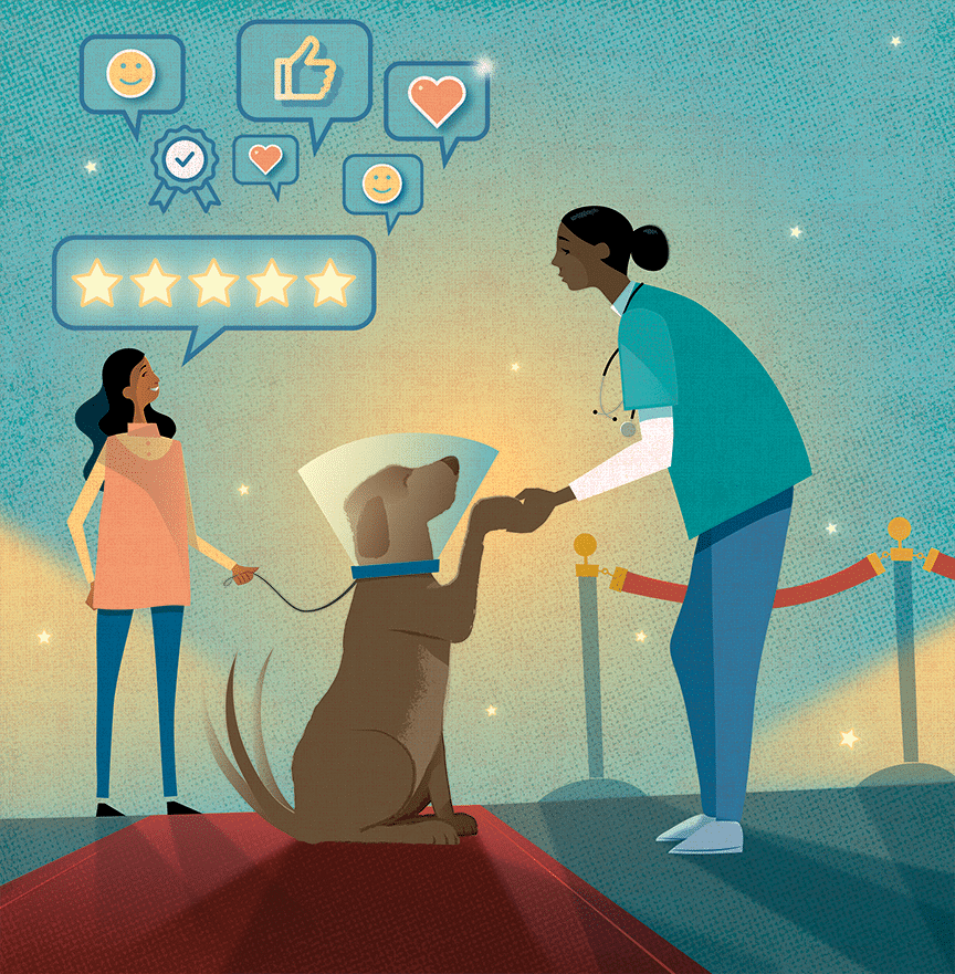 Vetiquette: How to Elevate Your Client Service With Simple Habits - Featured Image