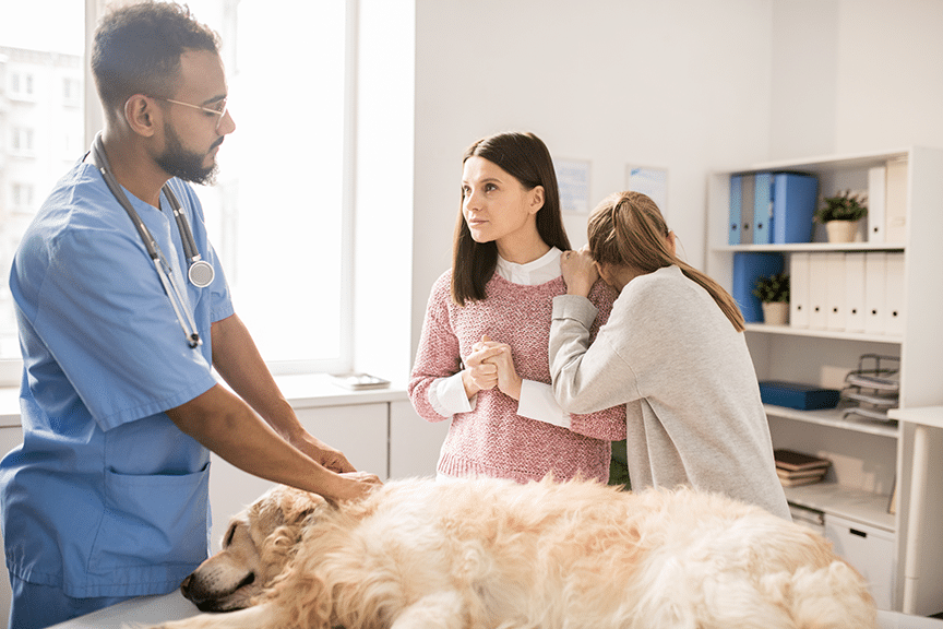 The Unspoken Fear of Many Veterinarians - Featured Image