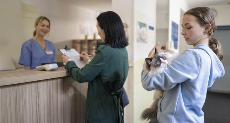 The Truth Behind Veterinary Medicine’s Challenges and Victories