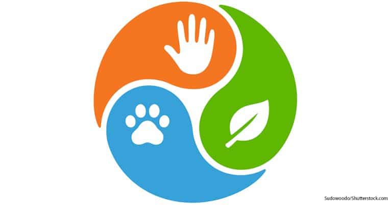 AAHA Releases One Health Roadmap