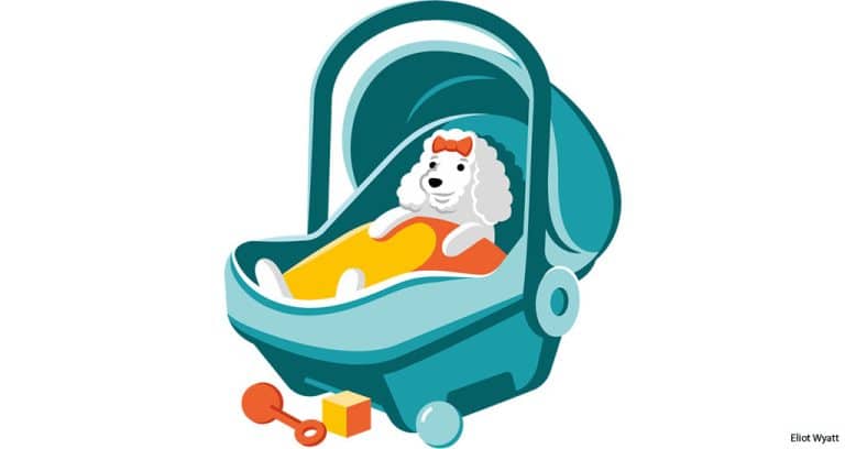 Q&A: Fur Parents, Questionable Work Ethic and Social Media