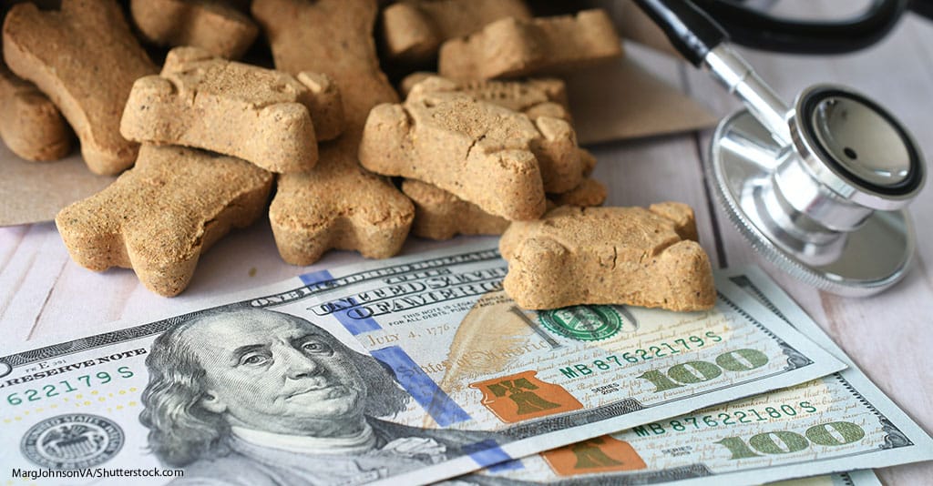 Insured Clients Opt for More Veterinary Care - Featured Image