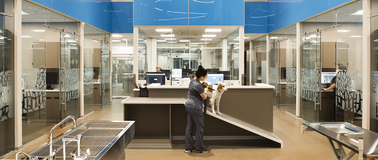 Game-Changing Trends in Veterinary Hospital Design: A One Health Perspective