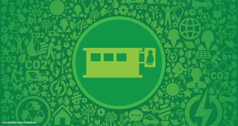Creating an Eco-Friendly Veterinary Practice