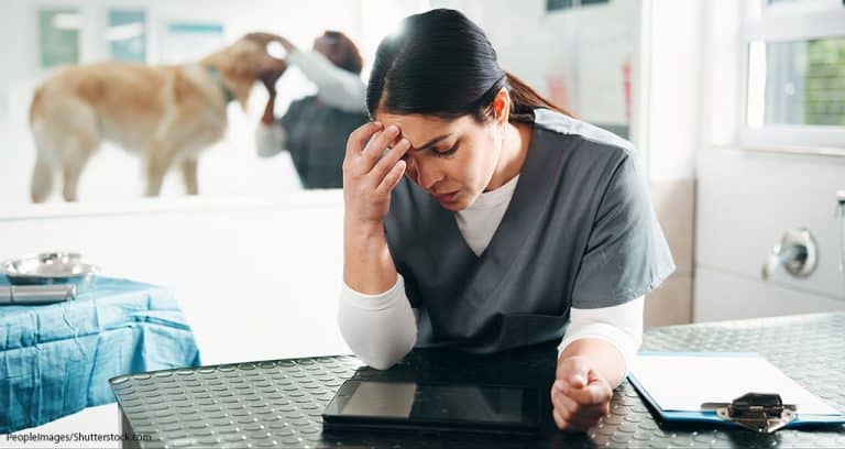 Relief Veterinarians’ Burnout Scores Rise