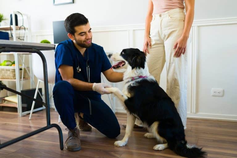 $1.9M Grant Fuels Access-to-Care Initiative