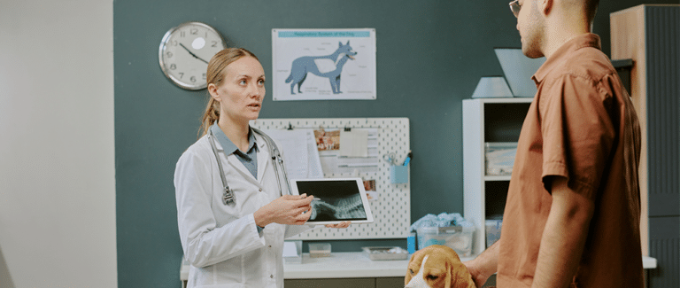 The Future of Smart Veterinary Hospital Design