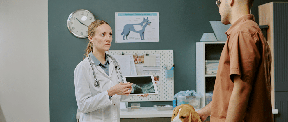 The Future of Smart Veterinary Hospital Design - Featured Image