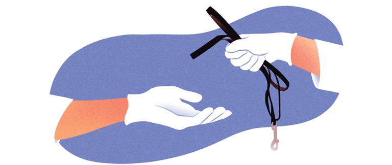 Q&A: Your Veterinary Questions Answered