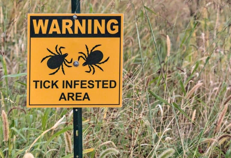 Experts Predict Continued Spread of Vector-Borne Disease